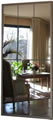 Verre mirroir 53x113 650W